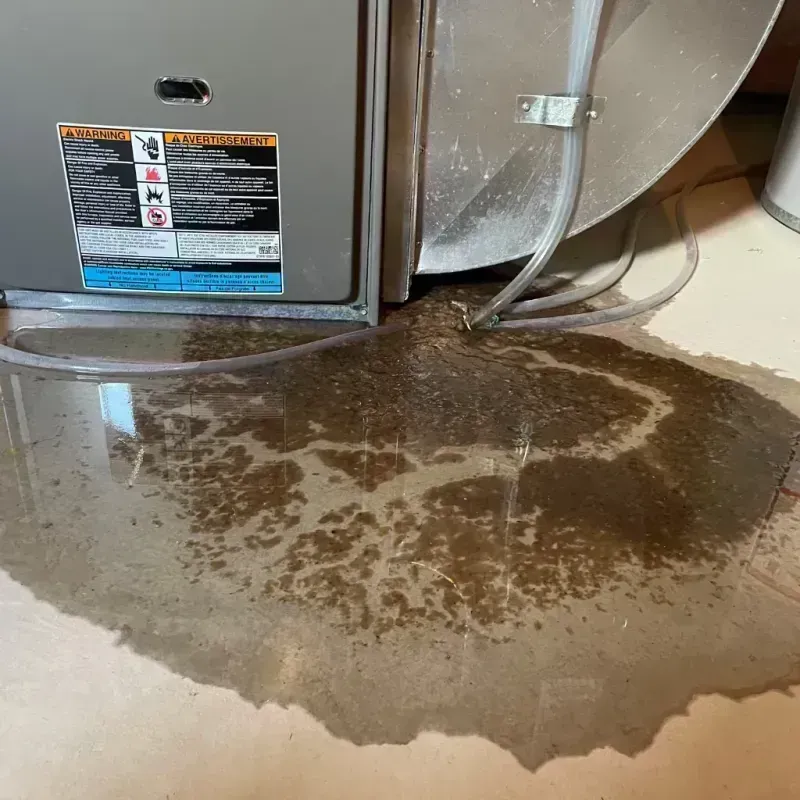 Appliance Leak Cleanup in Rogers Park, IL